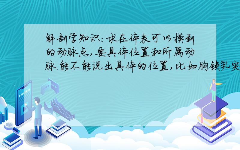 解剖学知识:求在体表可以摸到的动脉点,要具体位置和所属动脉.能不能说出具体的位置,比如胸锁乳突肌和环状软骨的交点