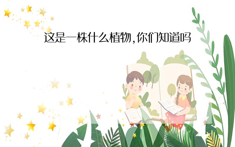 这是一株什么植物,你们知道吗