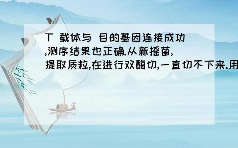 T 载体与 目的基因连接成功,测序结果也正确.从新摇菌,提取质粒,在进行双酶切,一直切不下来.用的是 ClaⅠ ,EcoR Ⅰ 两种酶 体系20酶切 3小时 过夜 都试过了 期待解决