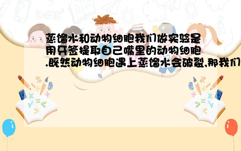 蒸馏水和动物细胞我们做实验是用牙签提取自己嘴里的动物细胞.既然动物细胞遇上蒸馏水会破裂,那我们平时喝水的时候为什么都没事?