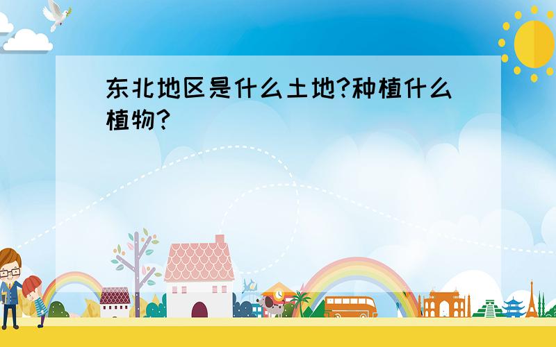 东北地区是什么土地?种植什么植物?