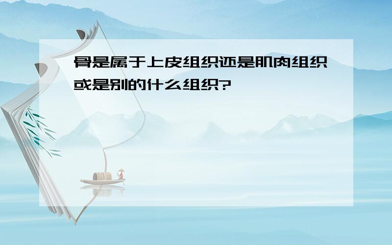 骨是属于上皮组织还是肌肉组织或是别的什么组织?