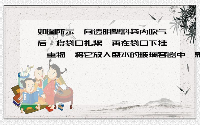 如图所示,向透明塑料袋内吹气后,将袋口扎紧,再在袋口下挂一重物,将它放入盛水的玻璃容器中,就成了一个“空气凸透镜”．当平行激光束射到这个“空气凸透镜”上时,射出的激光束将成为