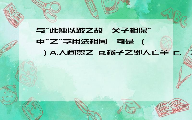 与“此独以跛之故,父子相保”中“之”字用法相同一句是 （ ）A.人间贺之 B.杨子之邻人亡羊 C.吾不知所之 D.何追者之众