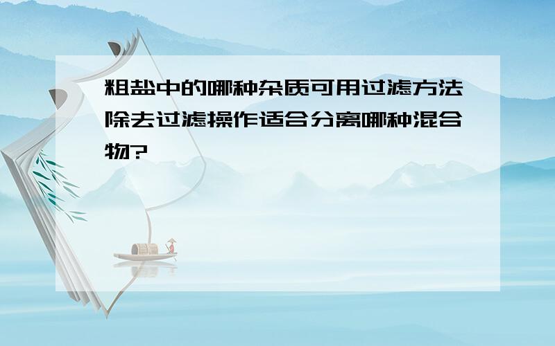 粗盐中的哪种杂质可用过滤方法除去过滤操作适合分离哪种混合物?