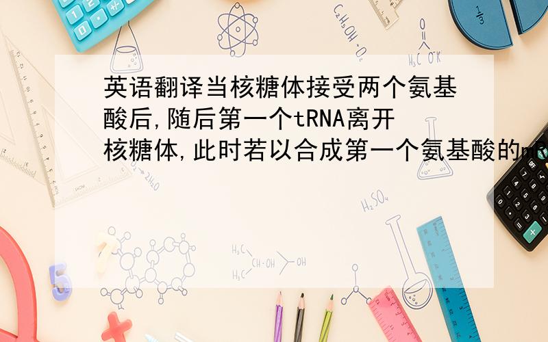 英语翻译当核糖体接受两个氨基酸后,随后第一个tRNA离开核糖体,此时若以合成第一个氨基酸的mRNA上的碱基为头的话,核糖体是不是应该向尾的地方移动?还有第一个tRNA离开后,它里面的氨基酸