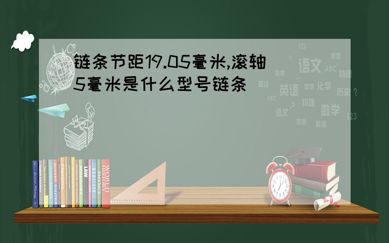 链条节距19.05毫米,滚轴5毫米是什么型号链条