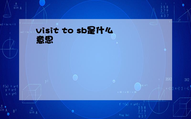 visit to sb是什么意思