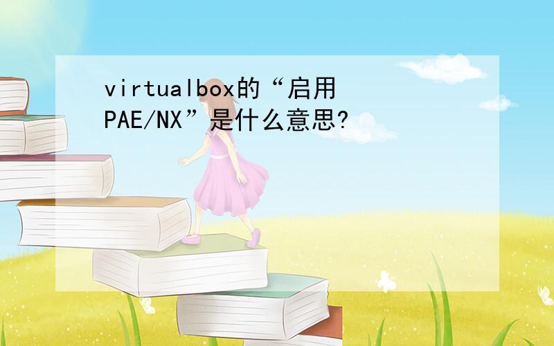 virtualbox的“启用PAE/NX”是什么意思?