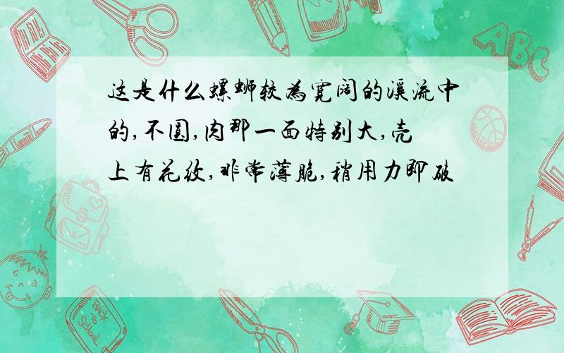 这是什么螺蛳较为宽阔的溪流中的,不圆,肉那一面特别大,壳上有花纹,非常薄脆,稍用力即破