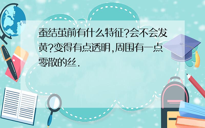 蚕结茧前有什么特征?会不会发黄?变得有点透明,周围有一点零散的丝.