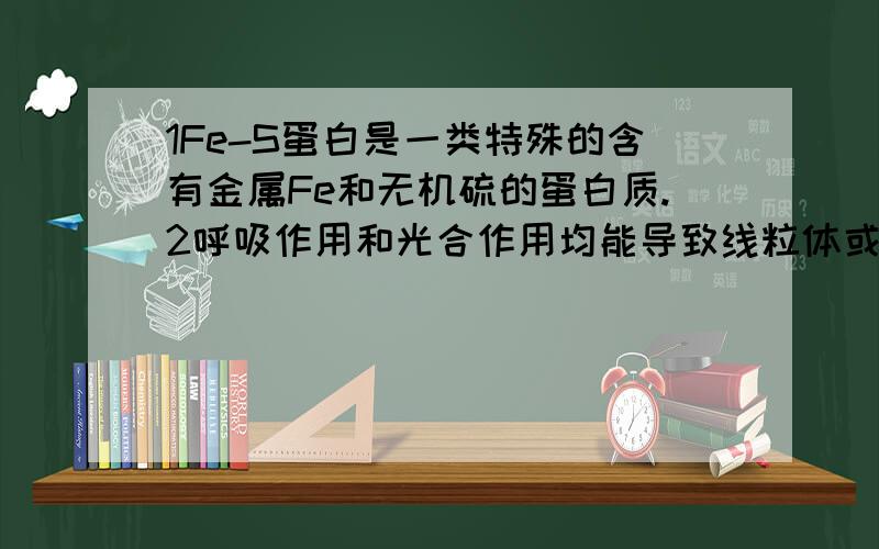 1Fe-S蛋白是一类特殊的含有金属Fe和无机硫的蛋白质.2呼吸作用和光合作用均能导致线粒体或叶绿体基质的pH值升高.这两个都错了,为什么?第2个呼吸作用不是发生在线粒体内膜,把H+通过复合物