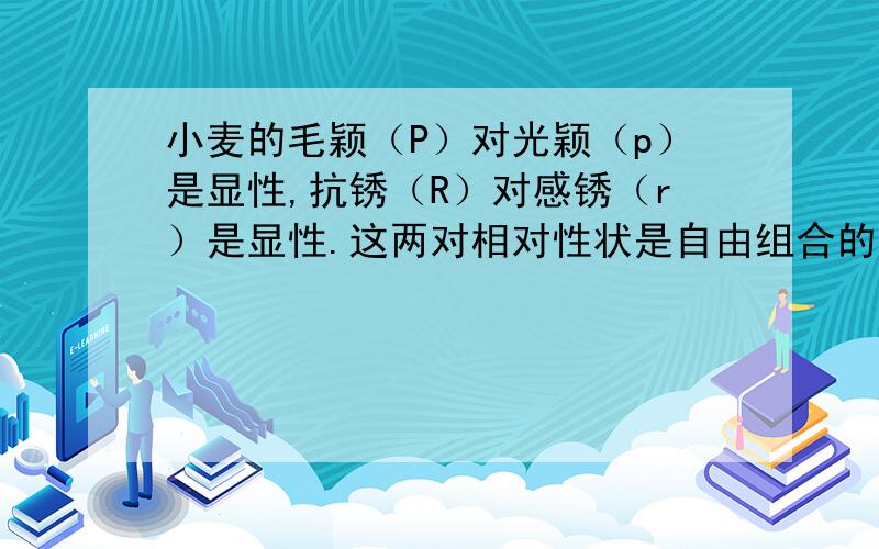 小麦的毛颖（P）对光颖（p）是显性,抗锈（R）对感锈（r）是显性.这两对相对性状是自由组合的.下表是四组不同品种小麦杂交结果的数量比,试填写出每个组合的基因型.（8分）亲本植株 F1表