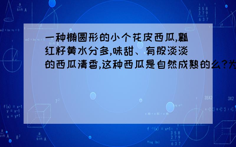 一种椭圆形的小个花皮西瓜,瓤红籽黄水分多,味甜、有股淡淡的西瓜清香,这种西瓜是自然成熟的么?为什么这种画皮西瓜的瓜籽不是黑色的；而是黄色?这种西瓜的重量在2斤左右,西瓜皮5毫米