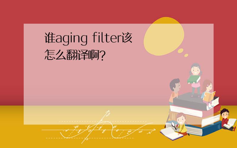 谁aging filter该怎么翻译啊?