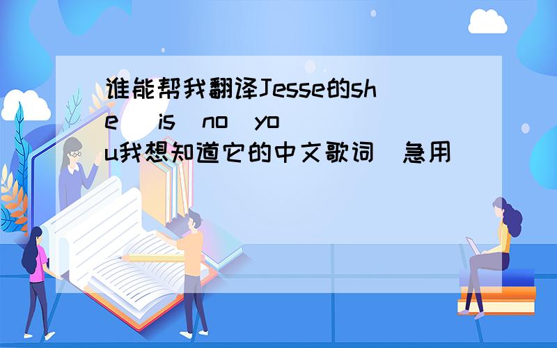 谁能帮我翻译Jesse的she   is  no  you我想知道它的中文歌词．急用