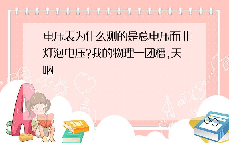 电压表为什么测的是总电压而非灯泡电压?我的物理一团糟,天呐