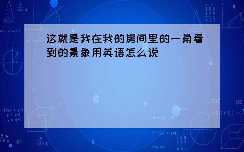 这就是我在我的房间里的一角看到的景象用英语怎么说