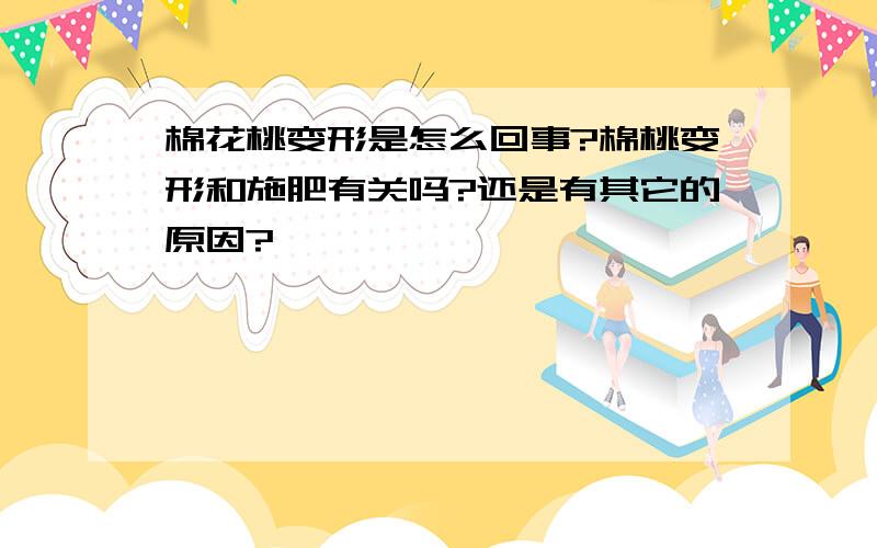 棉花桃变形是怎么回事?棉桃变形和施肥有关吗?还是有其它的原因?