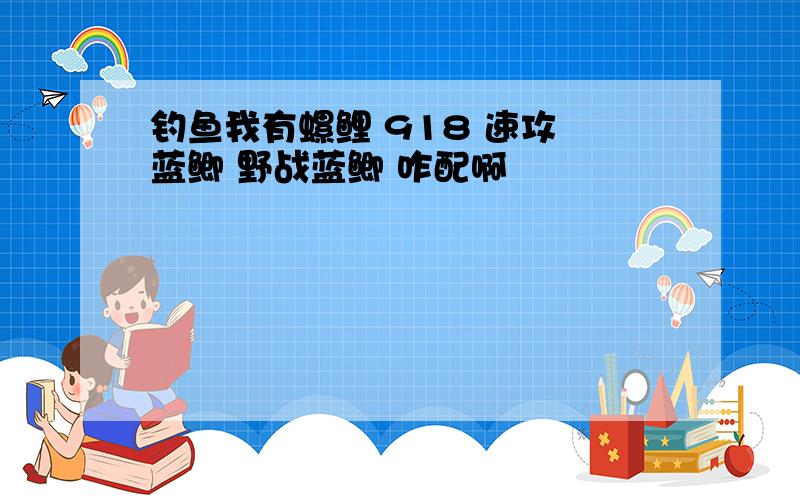 钓鱼我有螺鲤 918 速攻 蓝鲫 野战蓝鲫 咋配啊