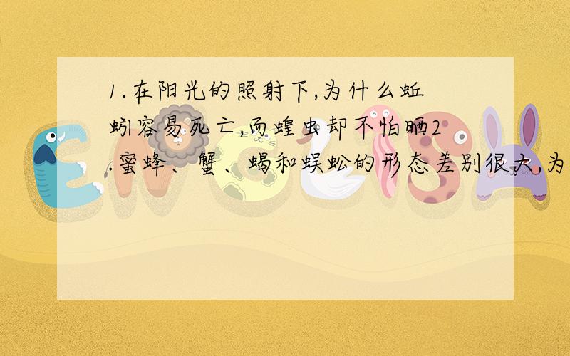 1.在阳光的照射下,为什么蚯蚓容易死亡,而蝗虫却不怕晒2.蜜蜂、蟹、蝎和蜈蚣的形态差别很大,为什么同属于节肢动物还有 在形态结构和生理功能等方面,哺乳动物有哪些特诊使其成为生物界