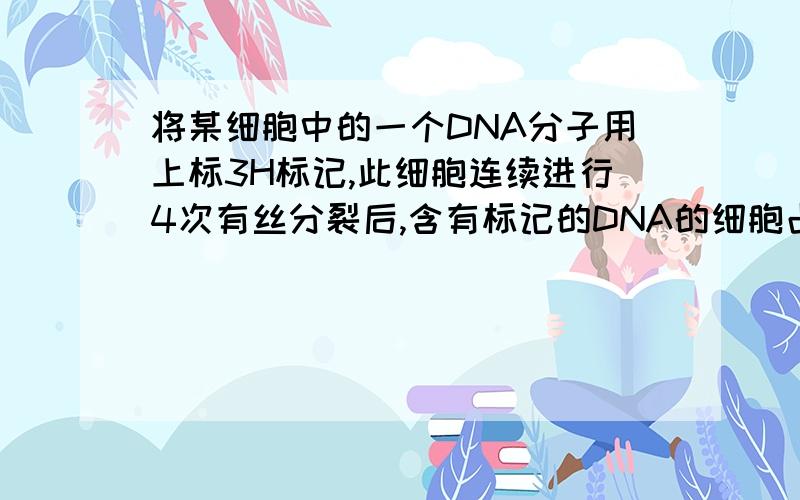 将某细胞中的一个DNA分子用上标3H标记,此细胞连续进行4次有丝分裂后,含有标记的DNA的细胞占全部细胞的?