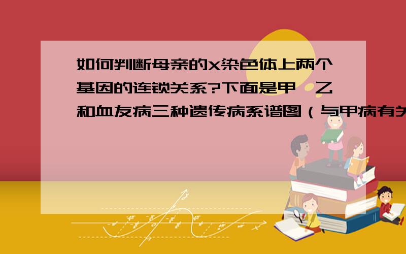 如何判断母亲的X染色体上两个基因的连锁关系?下面是甲、乙和血友病三种遗传病系谱图（与甲病有关的基因为A、a,与乙病有关的基因为B、b,与血友病有关的基因为H、h）.经调查在自然人群