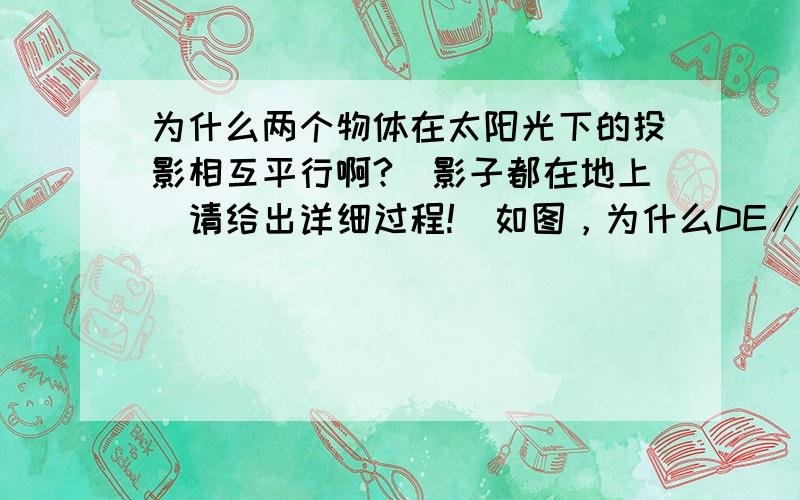 为什么两个物体在太阳光下的投影相互平行啊?[影子都在地上]请给出详细过程!  如图，为什么DE∥AC？