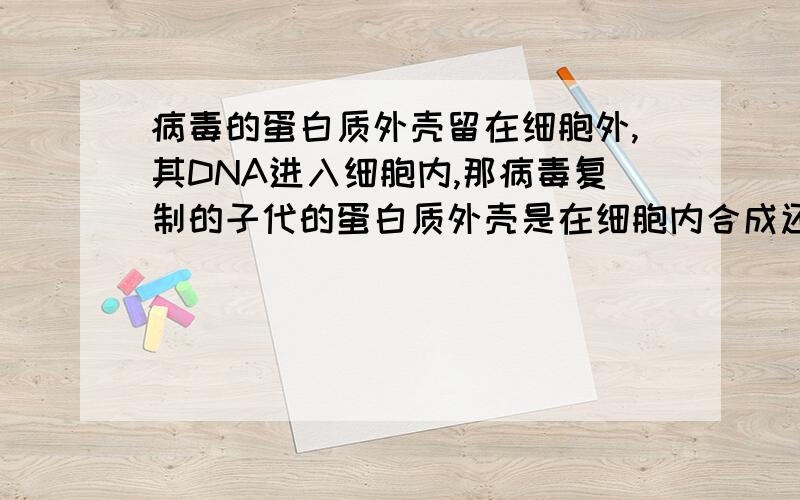 病毒的蛋白质外壳留在细胞外,其DNA进入细胞内,那病毒复制的子代的蛋白质外壳是在细胞内合成还是细胞外.怎么合成