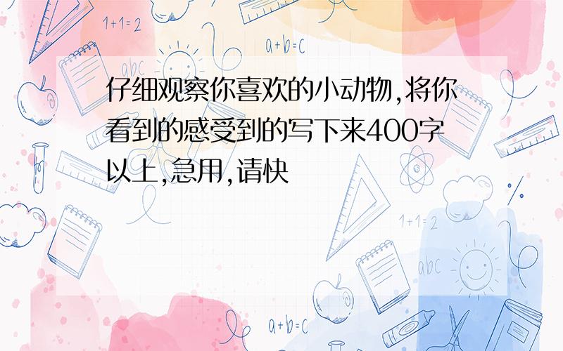 仔细观察你喜欢的小动物,将你看到的感受到的写下来400字以上,急用,请快