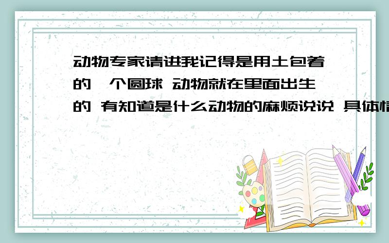 动物专家请进我记得是用土包着的一个圆球 动物就在里面出生的 有知道是什么动物的麻烦说说 具体情况 那个包着的圆状的土球直径12厘米左右 比较结实 打开之后里面的动物我记得好像是