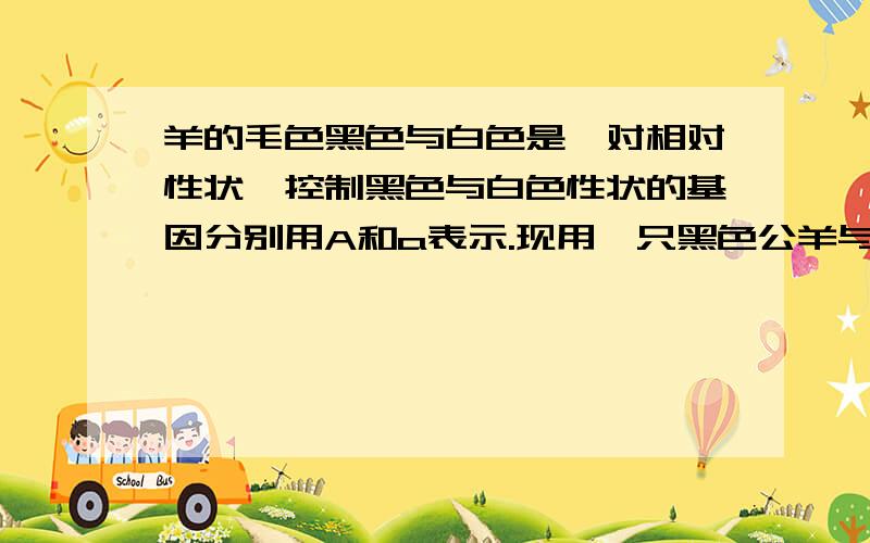 羊的毛色黑色与白色是一对相对性状,控制黑色与白色性状的基因分别用A和a表示.现用一只黑色公羊与一只黑色母羊交配,生了一只白色子羊,则亲本母羊的基因组成是（  ）.白色子羊的基因组