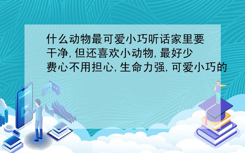 什么动物最可爱小巧听话家里要干净,但还喜欢小动物,最好少费心不用担心,生命力强,可爱小巧的