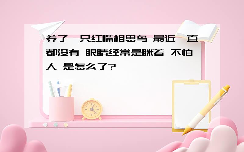 养了一只红嘴相思鸟 最近一直都没有 眼睛经常是眯着 不怕人 是怎么了?