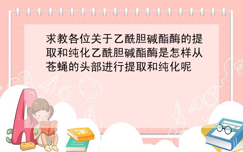 求教各位关于乙酰胆碱酯酶的提取和纯化乙酰胆碱酯酶是怎样从苍蝇的头部进行提取和纯化呢