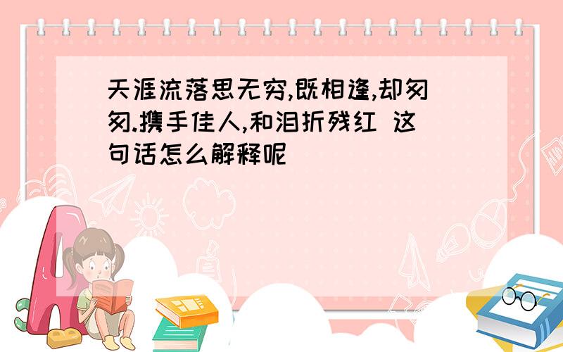 天涯流落思无穷,既相逢,却匆匆.携手佳人,和泪折残红 这句话怎么解释呢