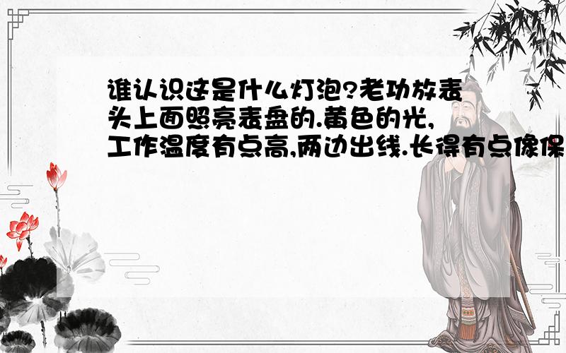 谁认识这是什么灯泡?老功放表头上面照亮表盘的.黄色的光,工作温度有点高,两边出线.长得有点像保险管但是不是,还是比较亮的.里面有细灯丝.能知道规格就更好了!