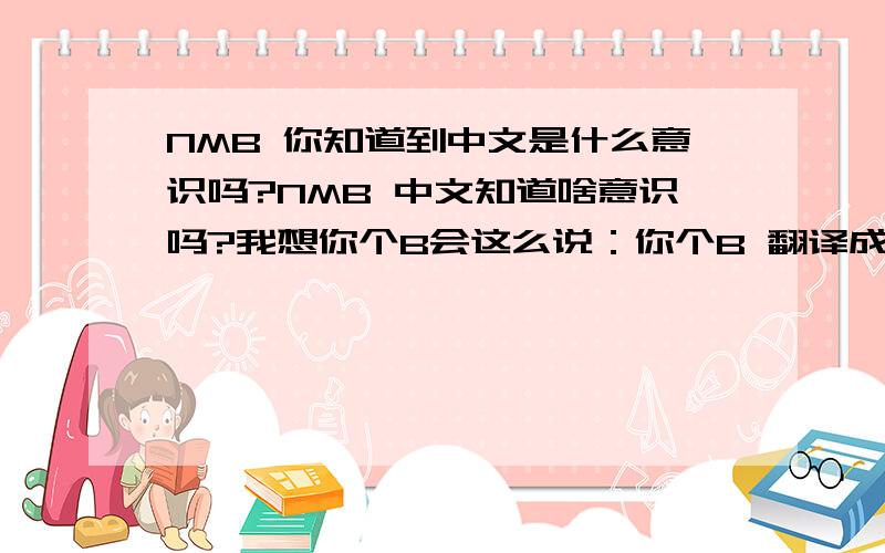 NMB 你知道到中文是什么意识吗?NMB 中文知道啥意识吗?我想你个B会这么说：你个B 翻译成字母 怎么找啊；!我晕,你 个 B的,我怀疑你脑袋里装的什么东西,猪一样的不会转弯!