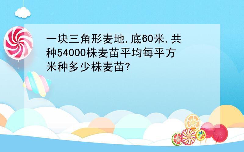 一块三角形麦地,底60米,共种54000株麦苗平均每平方米种多少株麦苗?