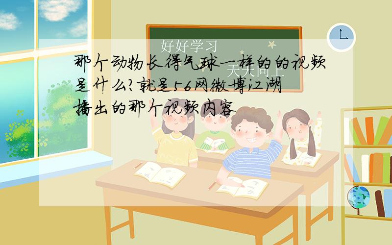 那个动物长得气球一样的的视频是什么?就是56网微博江湖 播出的那个视频内容