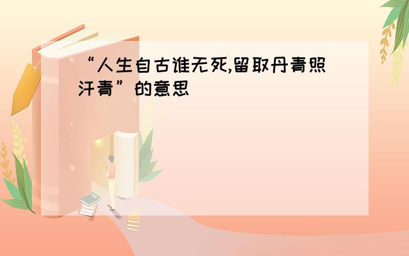 “人生自古谁无死,留取丹青照汗青”的意思