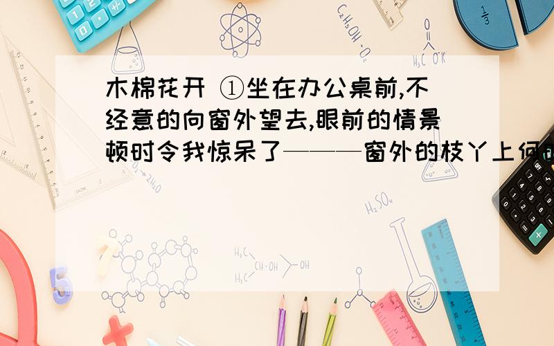 木棉花开 ①坐在办公桌前,不经意的向窗外望去,眼前的情景顿时令我惊呆了———窗外的枝丫上何时挂满了红