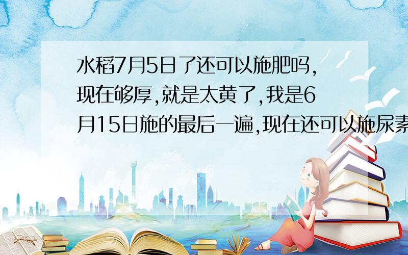 水稻7月5日了还可以施肥吗,现在够厚,就是太黄了,我是6月15日施的最后一遍,现在还可以施尿素吗