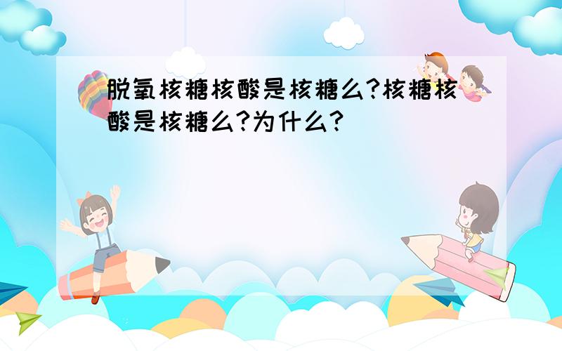 脱氧核糖核酸是核糖么?核糖核酸是核糖么?为什么?