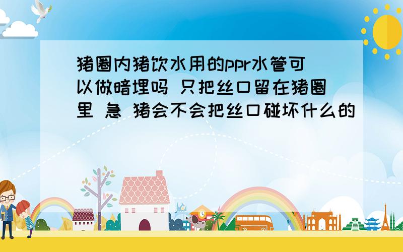 猪圈内猪饮水用的ppr水管可以做暗埋吗 只把丝口留在猪圈里 急 猪会不会把丝口碰坏什么的