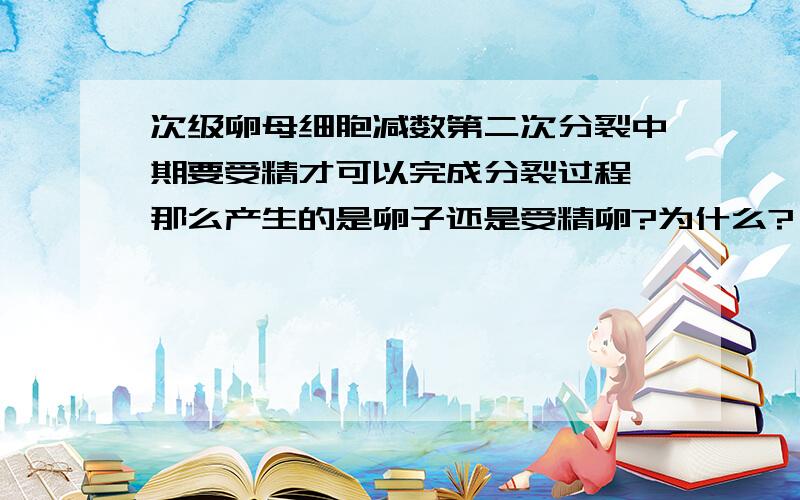 次级卵母细胞减数第二次分裂中期要受精才可以完成分裂过程,那么产生的是卵子还是受精卵?为什么?