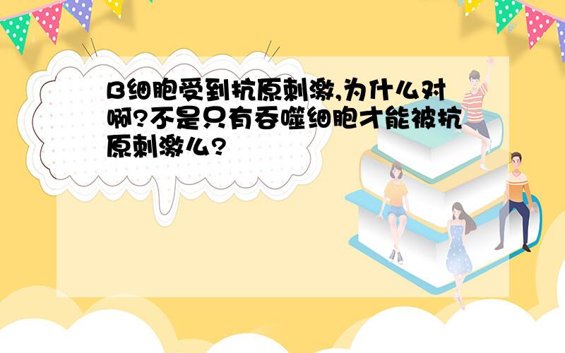 B细胞受到抗原刺激,为什么对啊?不是只有吞噬细胞才能被抗原刺激么?