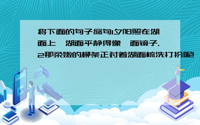 将下面的句子缩句1夕阳照在湖面上,湖面平静得像一面镜子.2那柔嫩的柳条正对着湖面梳洗打扮呢!