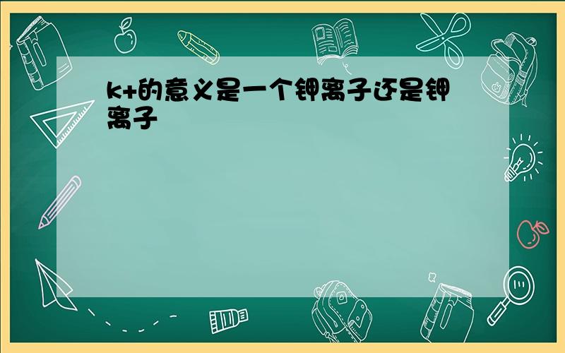 k+的意义是一个钾离子还是钾离子