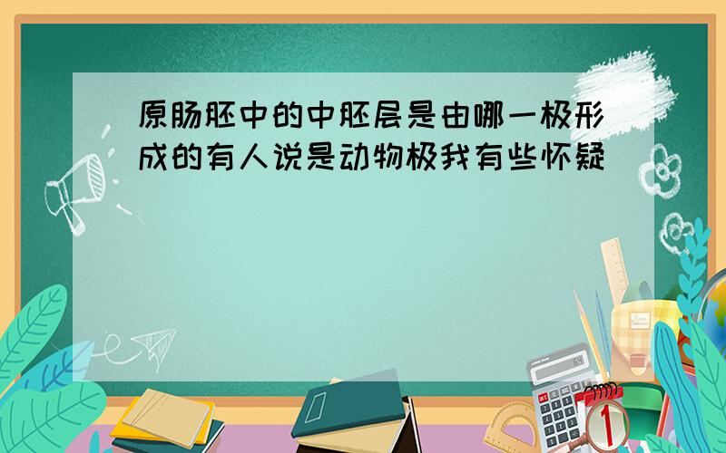 原肠胚中的中胚层是由哪一极形成的有人说是动物极我有些怀疑